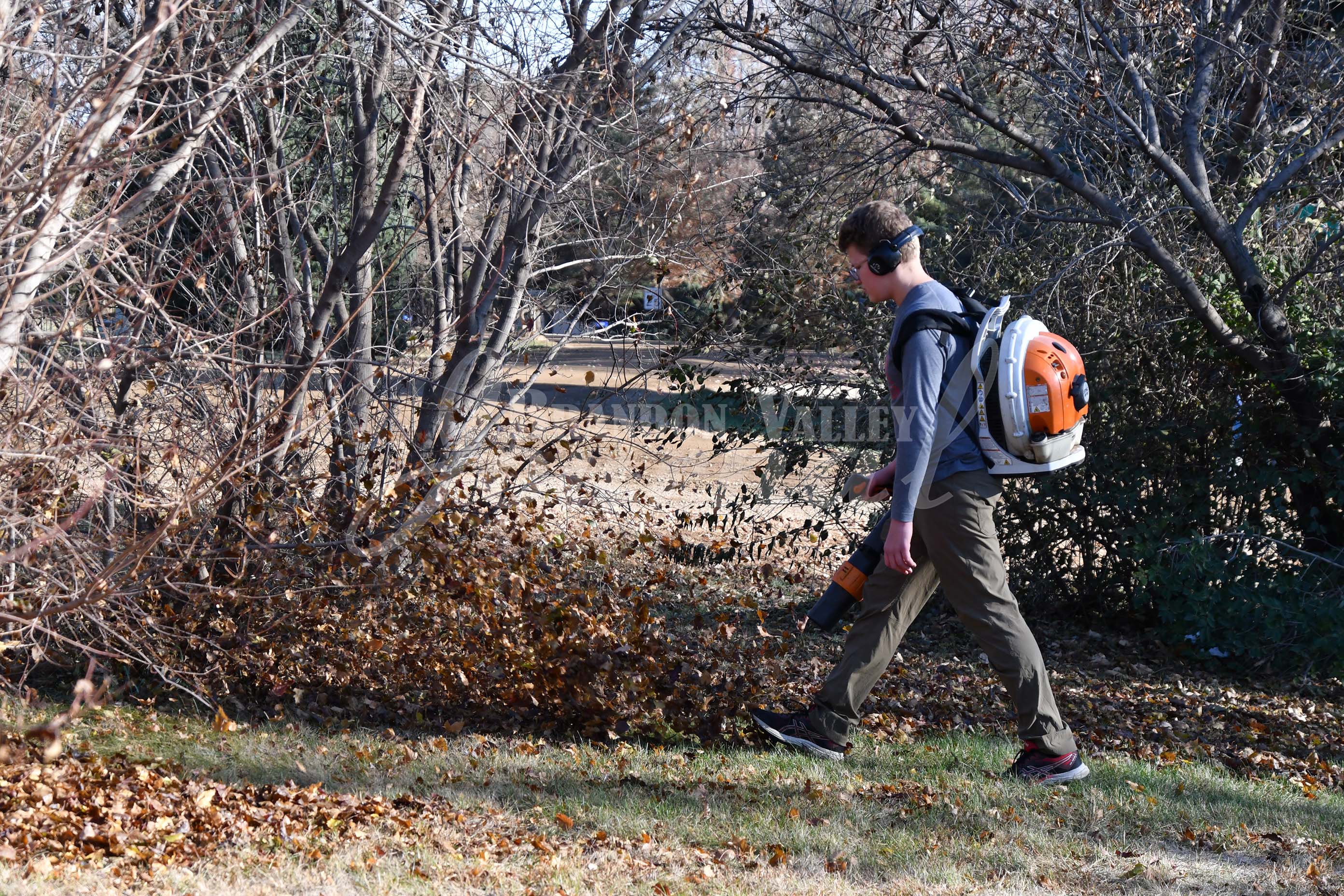 Rake the Town B Brandon Valley Journal